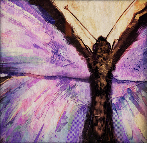 Detalhe da capa do livro, focando nas asas e texturas da borboleta